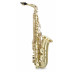 Alt saxofon vyrobený z mosazi v ručně kartáčované matné úpravě. Velmi lehká, rychlá odezva činí z tohoto saxofonu ideální volbu pro začátečníky. Nástroj je kompletně lakovaný. Hmotnost 2,4 kg. Včetně pouzdra a příslušenství.